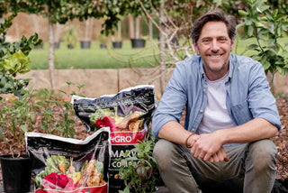 The black gold for gardeners - Compost!