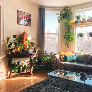 Healthy & Happy: Simple Steps to a Toxin-Free Home