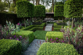 Herbaceous Perennial Care