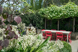Gardening in Small Spaces