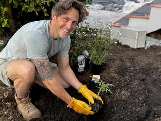 Top 5 Flowers, Fruit or Veg To Plant In Time For Christmas