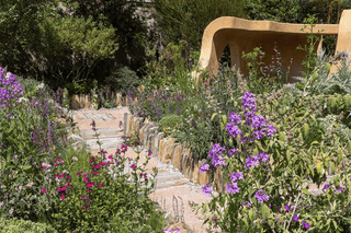 2026 Chelsea Garden Show - The Top Trends
