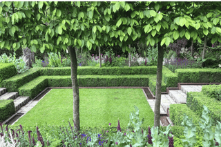 How To Be Lord Of The Lawn This Summer