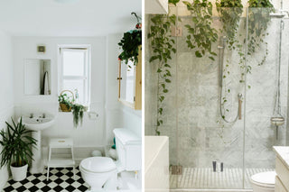 Charlie's Tips For A Thriving Bathroom Jungle