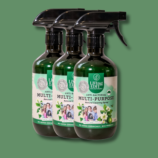 The Everyday Cleaning 3 Pack